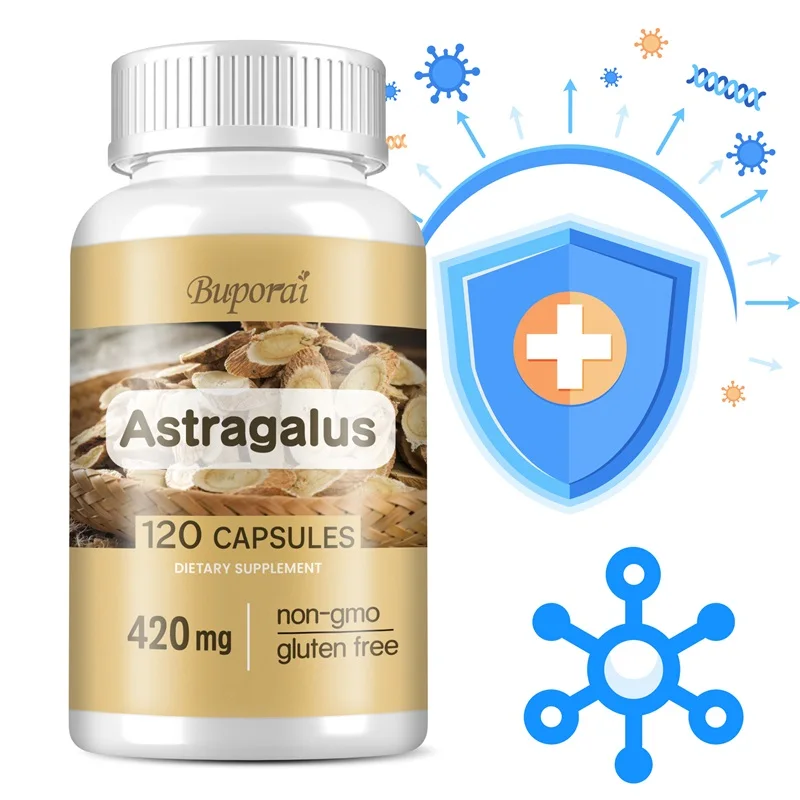 Astragalus - Supports Digestive Health, Promotes Overall Well-being and Relieves Stress