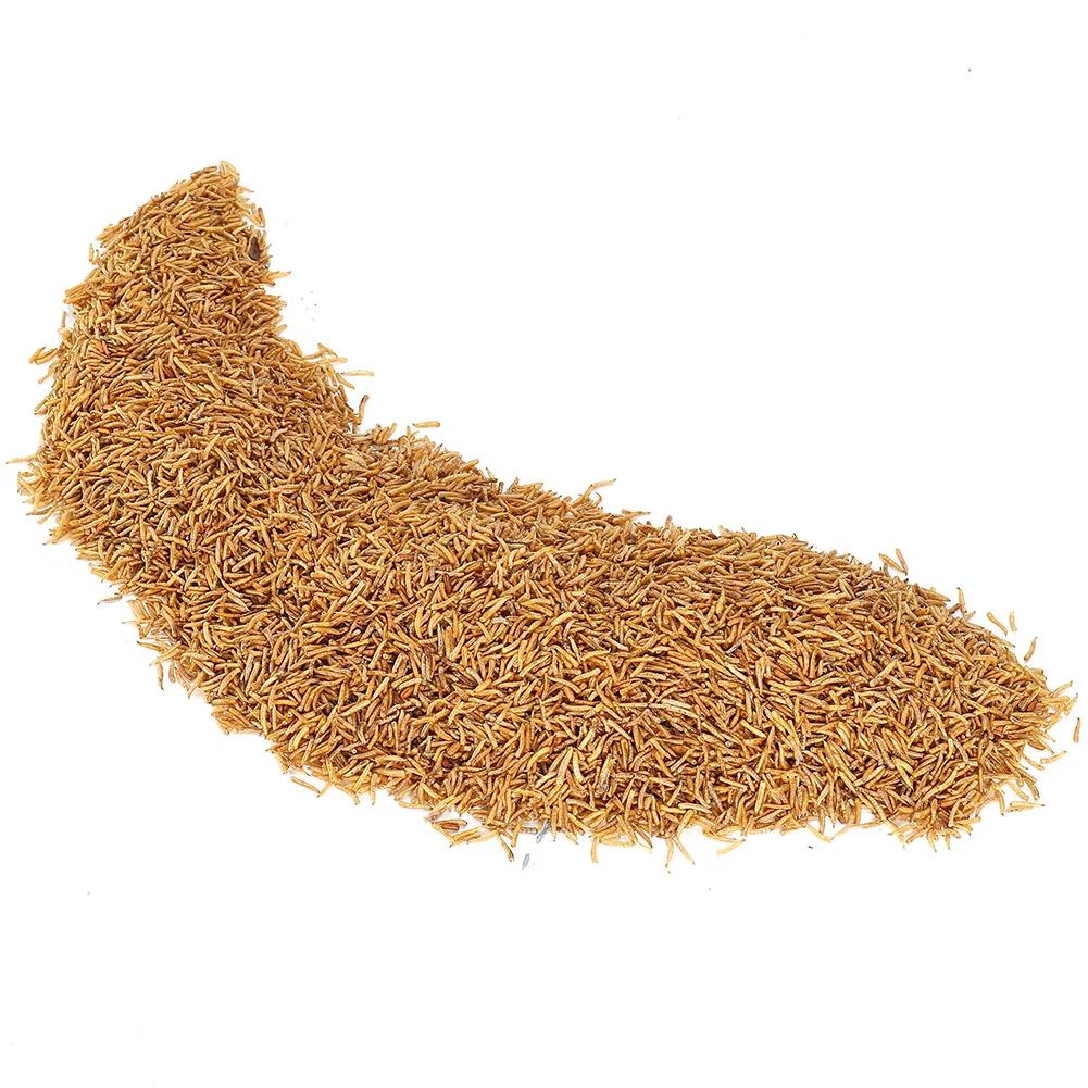 100G Dried Maggot F… - image