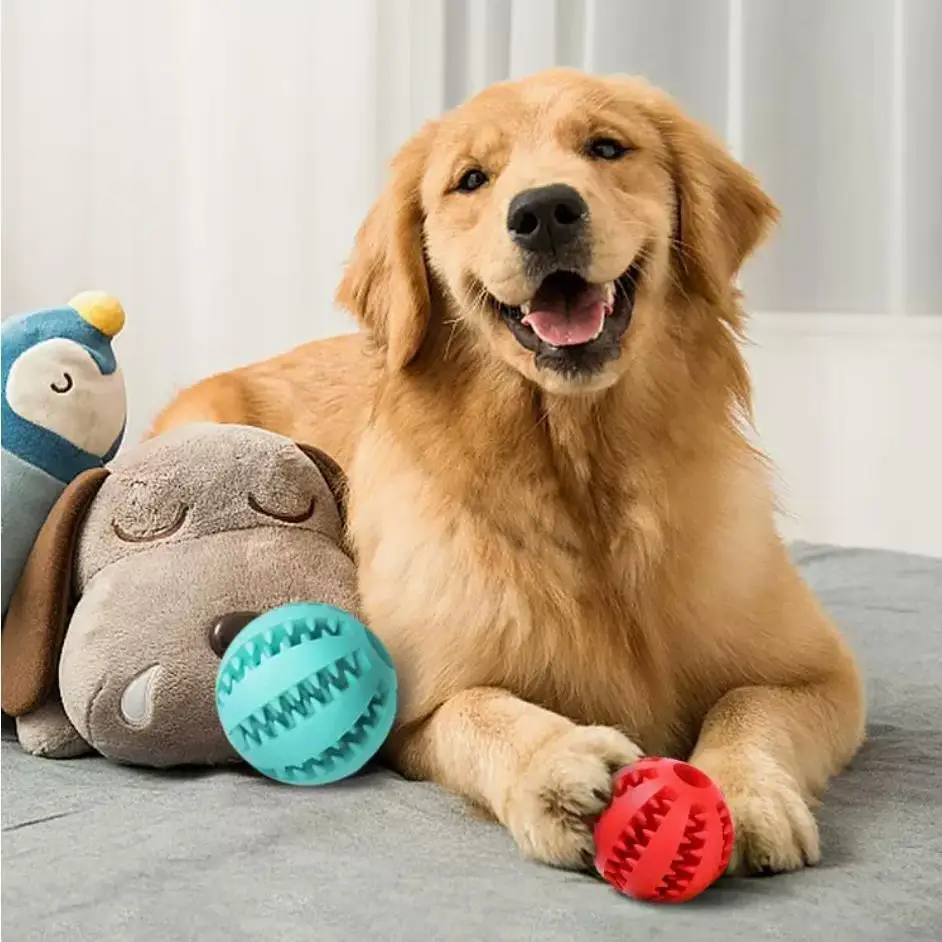 Dog Ball Toy with Rope Interactive Leaking Balls for Small Large Dogs Bite Resistant Chew Toys Puppy Training Pet Accessories