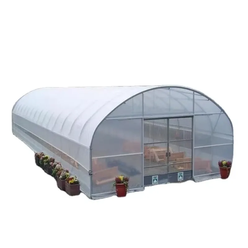 

Galvanized Steel Frame Single Span PE Film Greenhouse for Agriculture Low Cost Tunnel Greenhouse for Flowers Plant