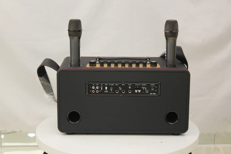 Karaoke Speaker System Professional Audio Video Subwoofer Speaker Daul Karaoke Machine with Wireless Microphone