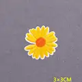 PE6304CT