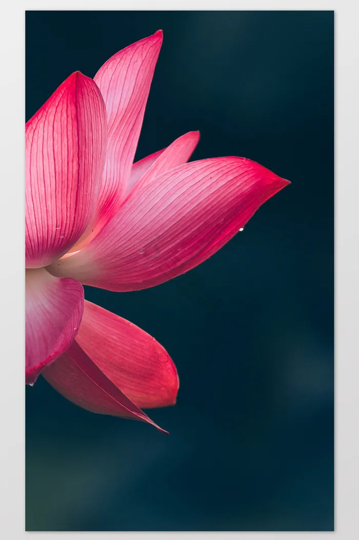 

Для комплекта аксессуаров HG P407