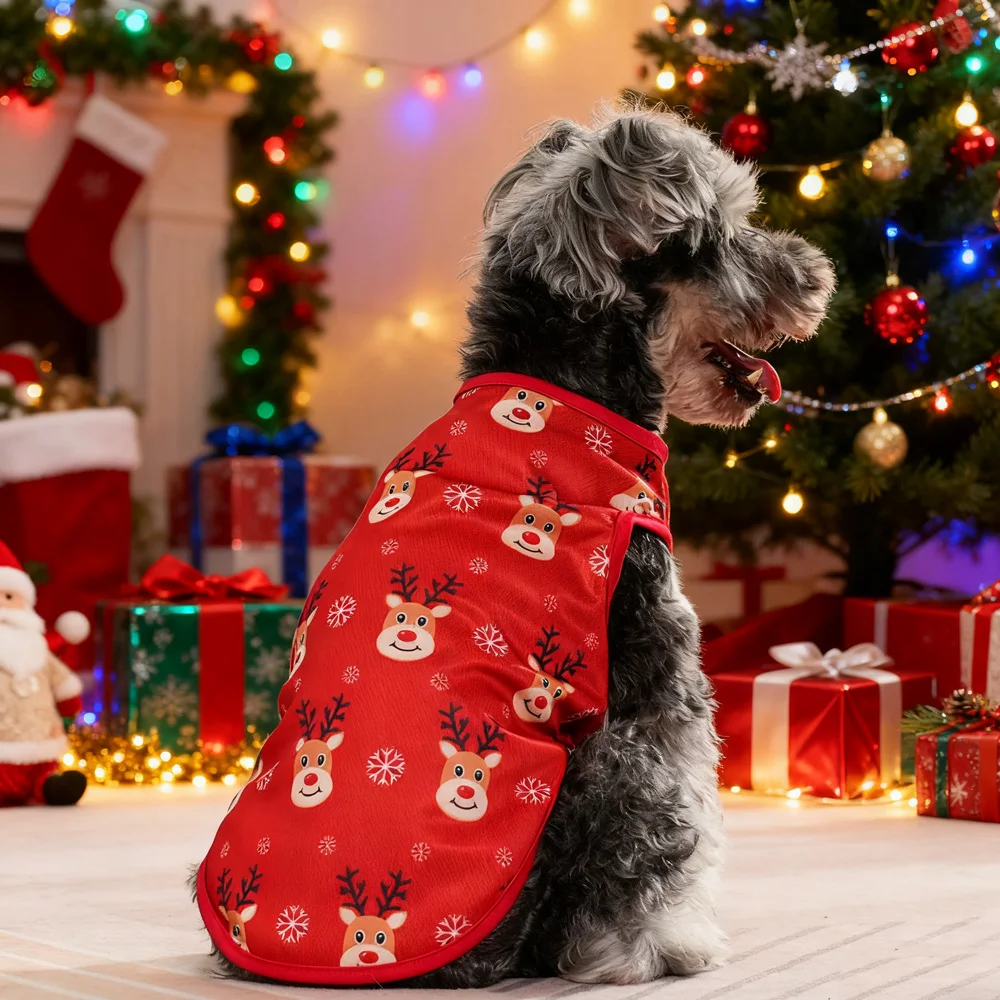 yZ[zybg^^LpNX}XvgqR[gʔp[eB[RXvߑ`ߑ