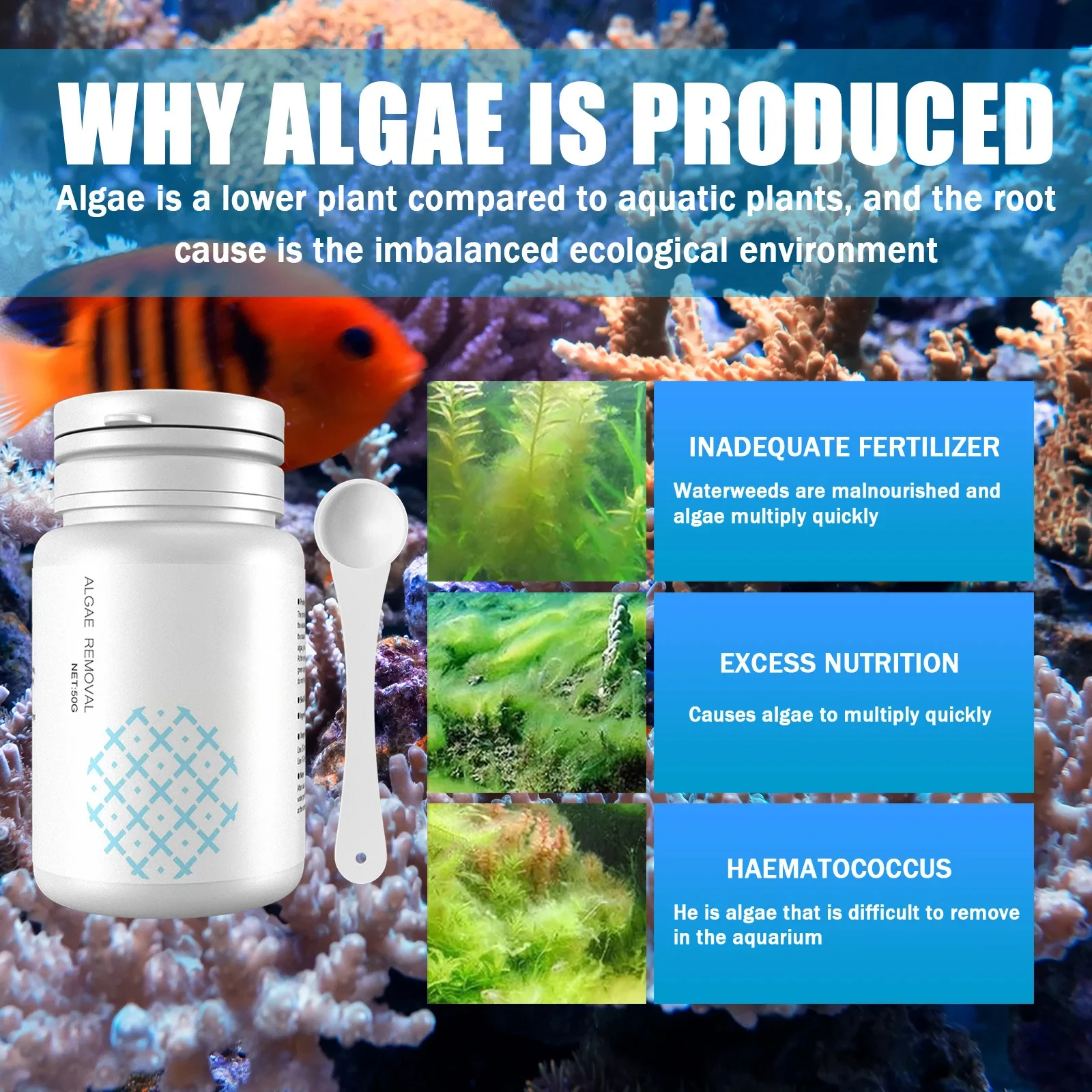 Tablet Pengendali Alga untuk P - Water Purification Tablet ulasan dan harga