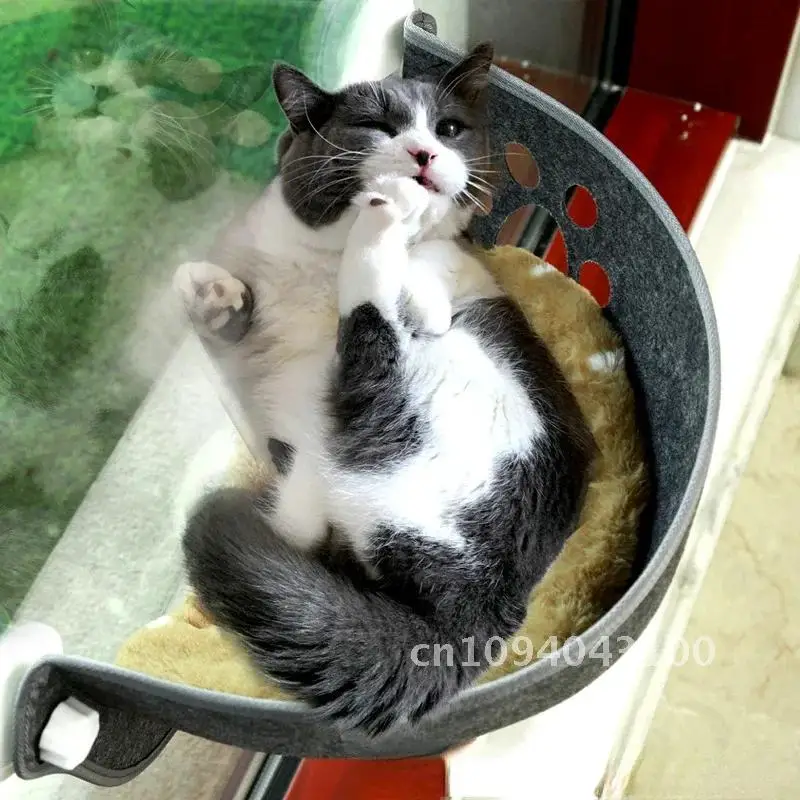 

Sunny Window Seat Nest Cat Window Strong With Cushion Pet Cups Bed Kitty Pet Hanging Hammock Cats Suction With Sleeping