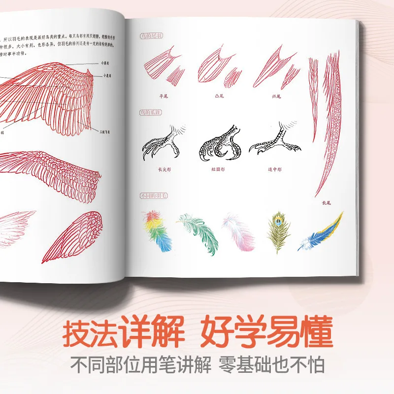 Colored lead flowers and birds, colored pencils, drawing books, zero basics, introductory tutorials, art painting, super realist