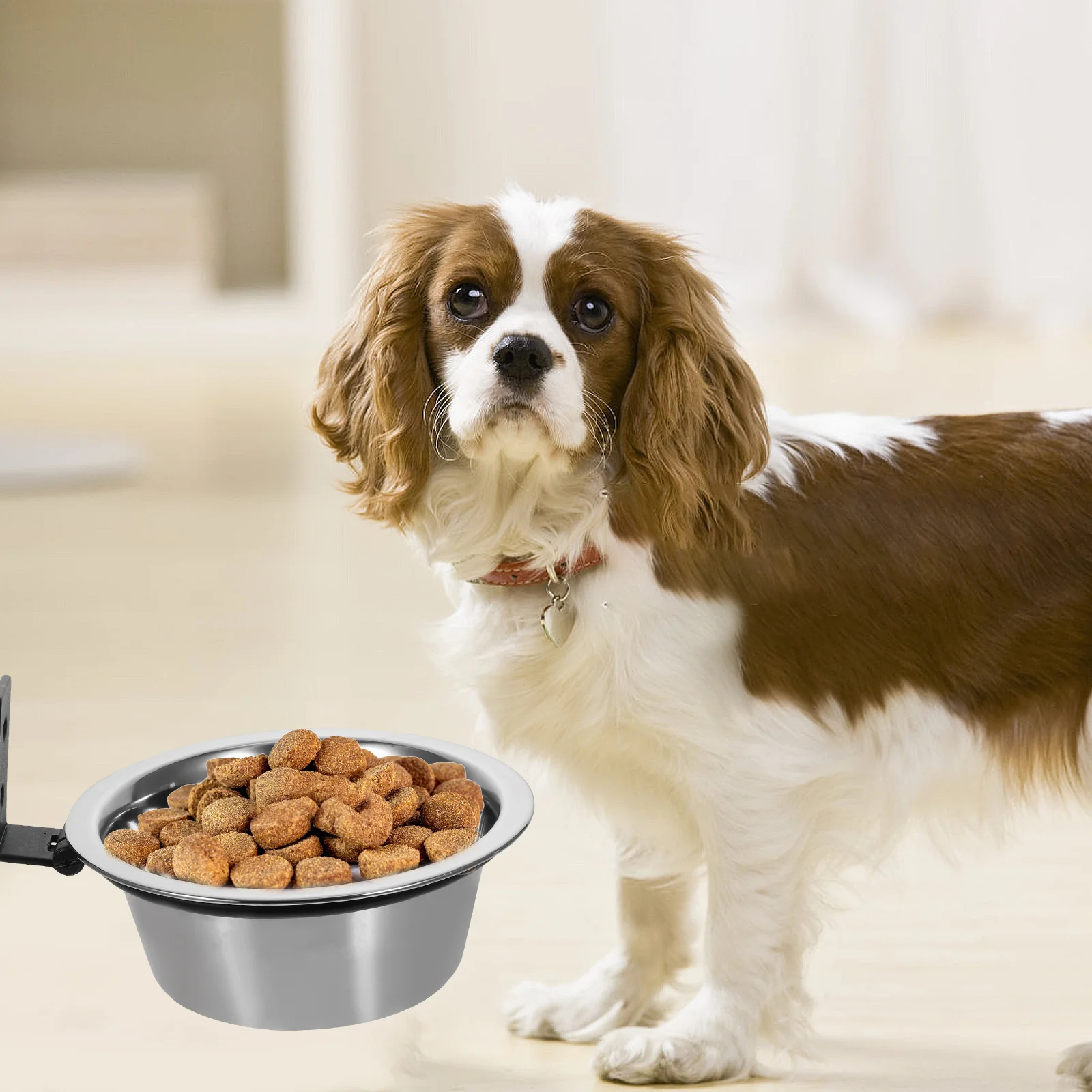 

Wall Mounted Dog Bowl Set Elevated Stainless Steel Pet Feeder for Dogs Cats Outdoor Wear Resistant Water Food Bowl Riser