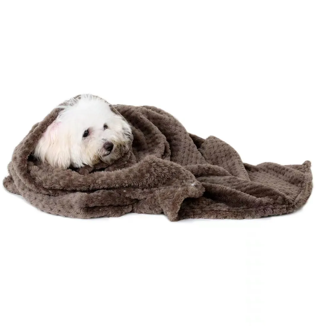 Nuova morbida coperta per animali domestici coperta per cani calda primaverile lenzuola per animali domestici carine tappetino caldo confortevole