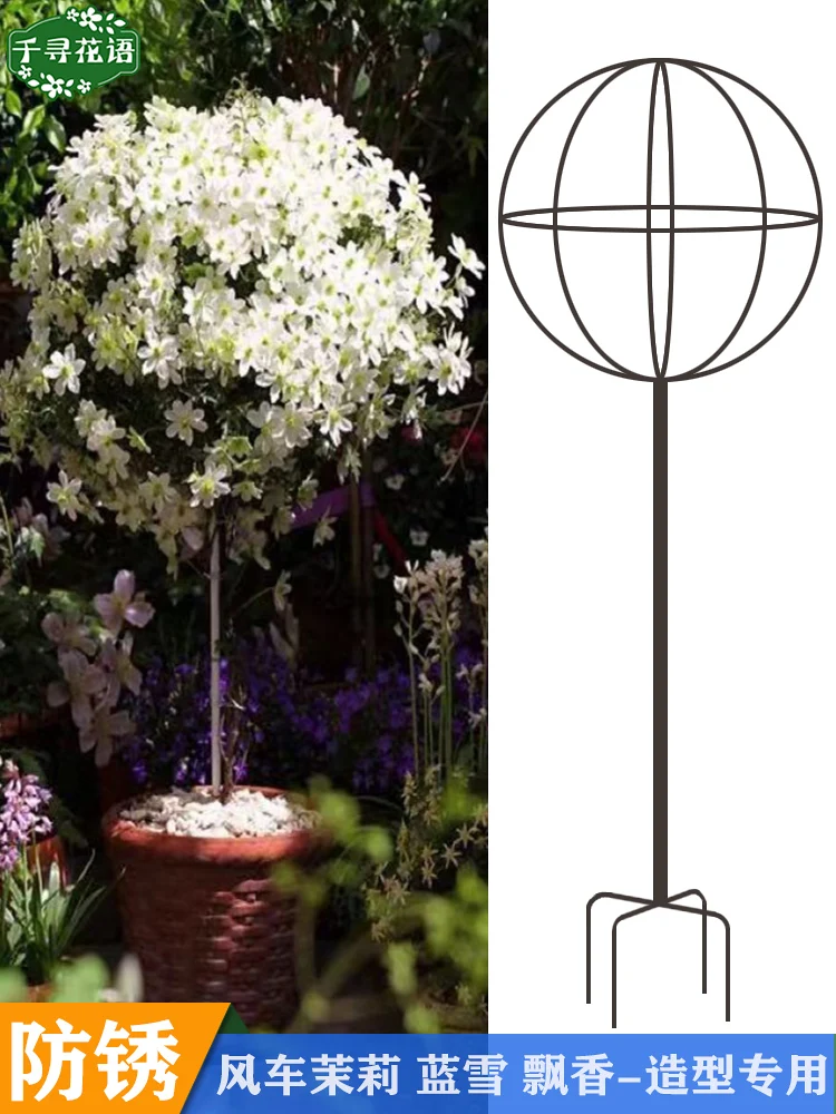 

Balcony: wrought iron lollipop blue snowflake stand windmill jasmine clematis plant climbing flower trellis flower pot climbing