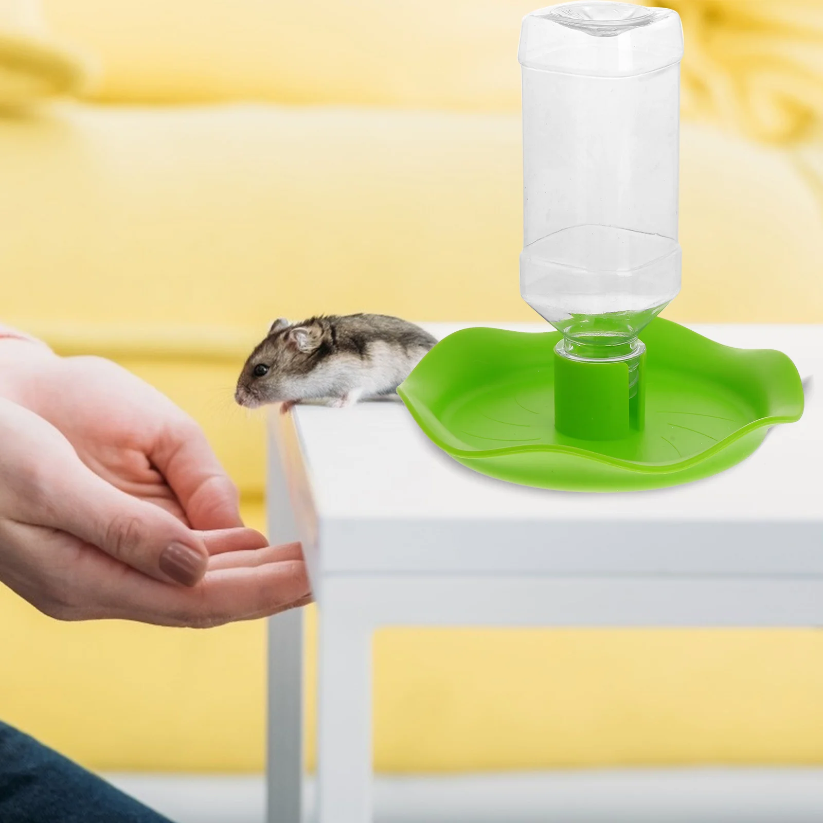 

1 шт. Миска-поилка для рептилий, простой дизайн, поддон для хранения воды для черепах, ящериц, автоматический дозатор для питья