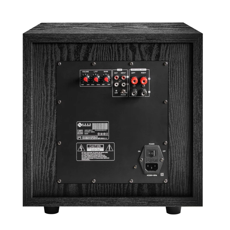 

Kinma 12 Inch Active Digital Design Style Subwoofer Speaker ASW-20012