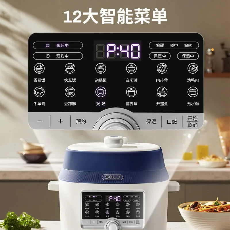 110V/220V Electric Pressure Cooker Smart Multi Functional Rice Cooker for Home Use USA Japan