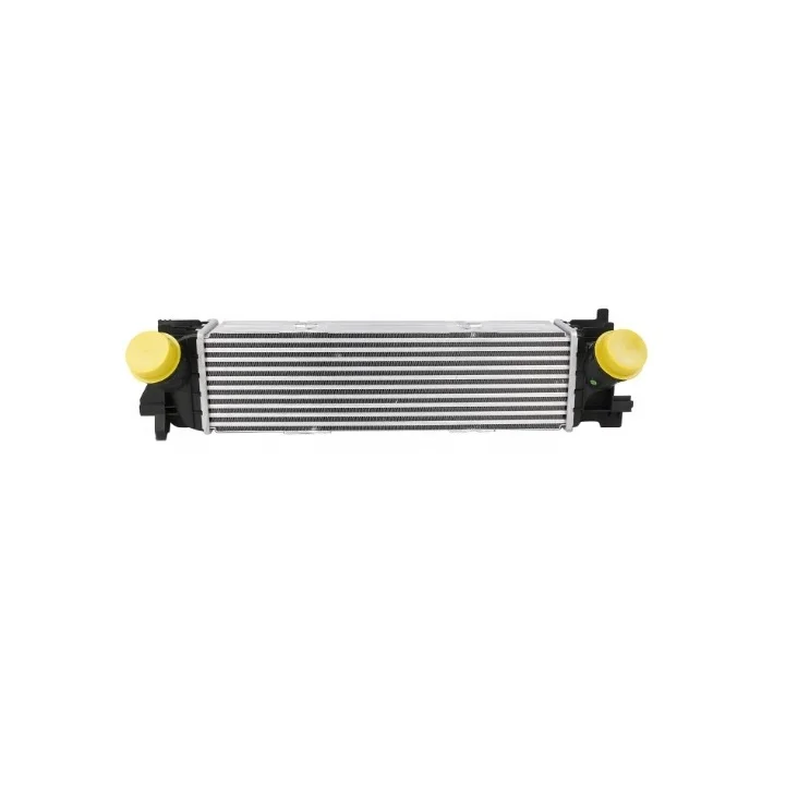 

For BMW G20 318d 320d 320dX Sedan Charge-Air Cooler Turbocharged Intercooler 17518592701 Car Intercooler