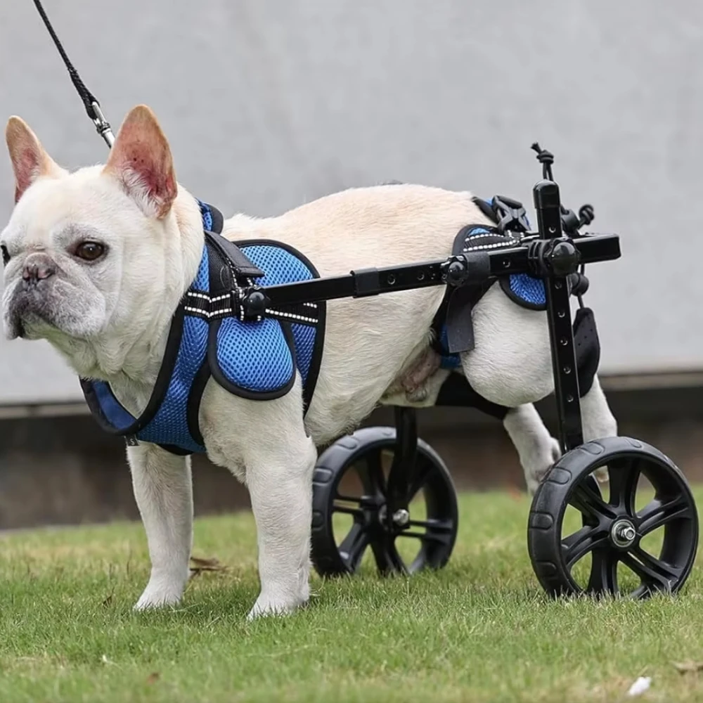 

Adjustable Dog Wheelchair for Back Legs with Upgraded All-Terrain Tires & Durable Bearings Reflective Safety Design for Disabled