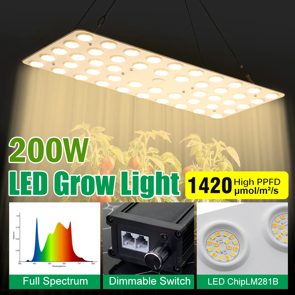 Lampe de culture LED à spectre complet, 100-277V, 100W, 200W, dimmable, SMD281b, Phytolamp pour plantes hydroponiques, tente, serre, légumes, fleurs