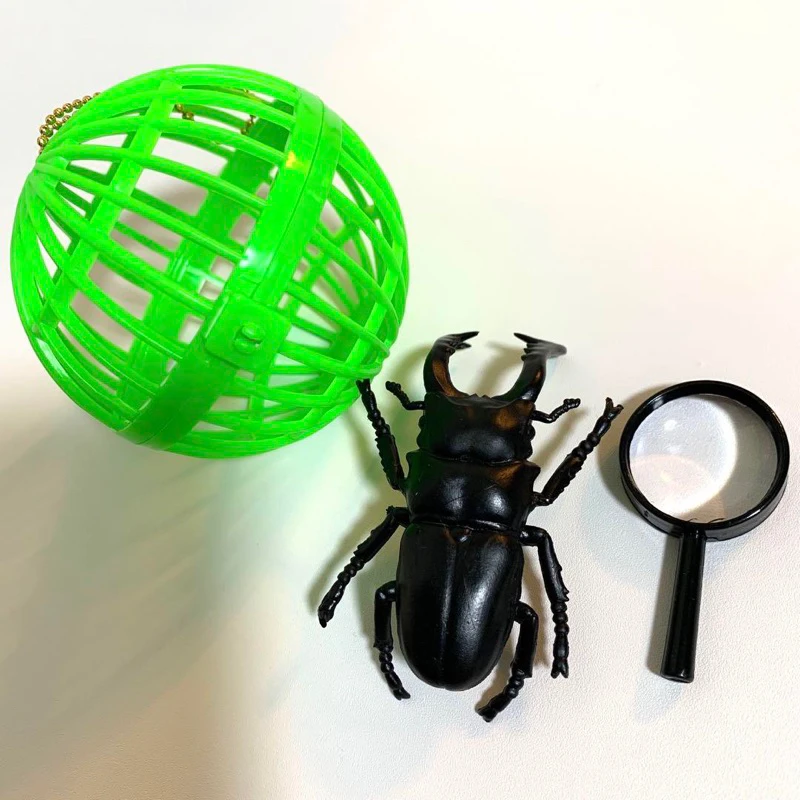 ألعاب كبسولة Yell مجموعة خنفساء نابضة بالحياة عينة زووم مع مكبر 12 نوعًا على شكل صافي على شكل قذيفة الحشرات شخصيات مصغرة