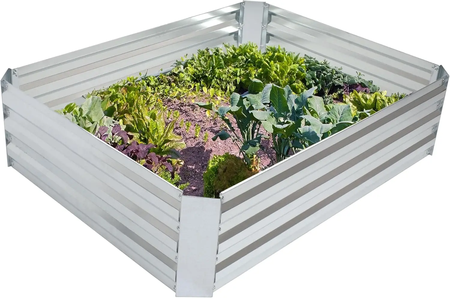 

Galvanized Raised Garden Bed - Metal Raised Bed for Gardening - Outdoor Planter Box for Flowers, Plants, and Vegetables - Silver