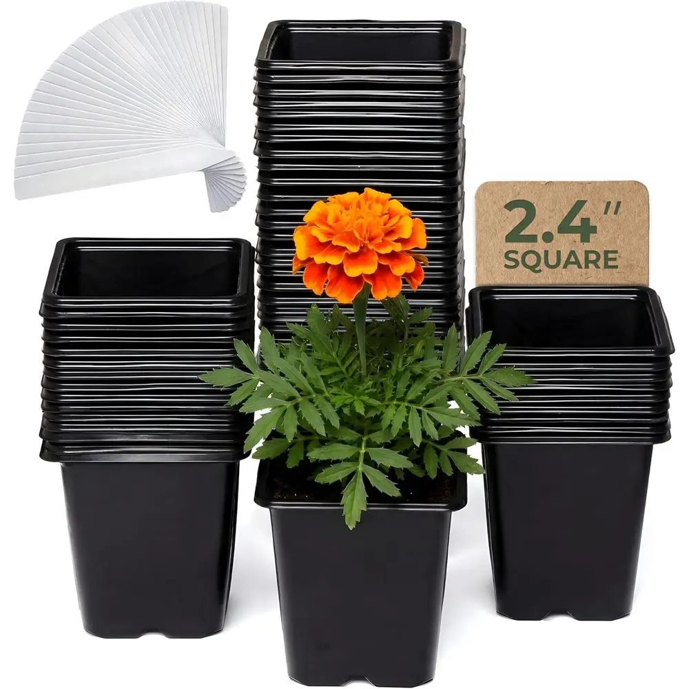 

Набор из 64 квадратных пластиковых горшков для рассады 2,4 дюйма с дренажными отверстиями - многоразовые для рассады, суккулентов, цветов и овощей.