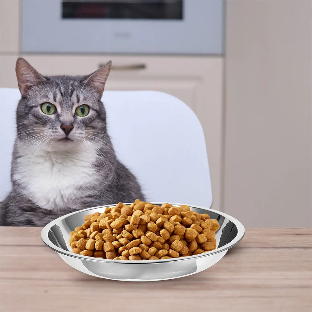 

Food Dishes for Indoor Cats Stainless Steel Pet Bowl Bowls Kitten Feeding Water