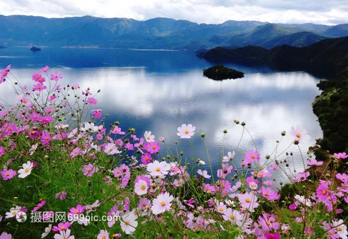 

Trim Flaps Water Pressure Plates Trim Tabs Upgrade Board Spray Strip for RC Boat Model DIY Parts