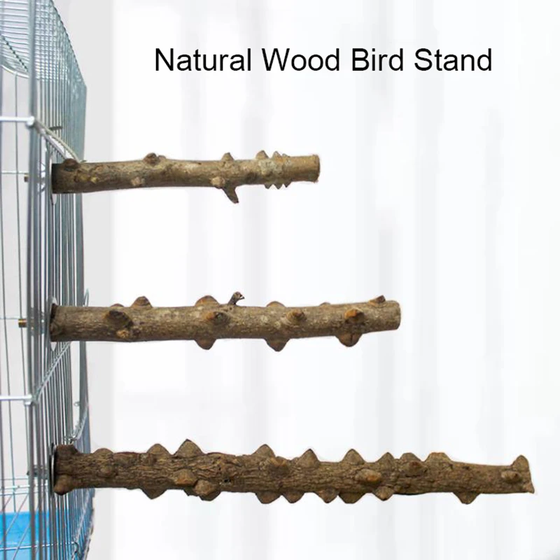 Spiky Natural Wood Pet Parrot Raw Wood Fork Tree Branch Stand Rack Squirrel Bird Hamster Branch Perches Chew Bite Toys Stick