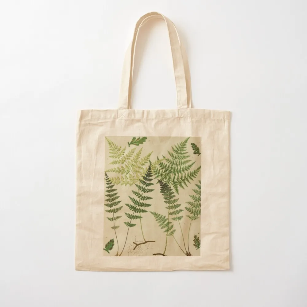 Botanical Ferns Tote Bag bags woman 2025 tote bag men's bag for beach