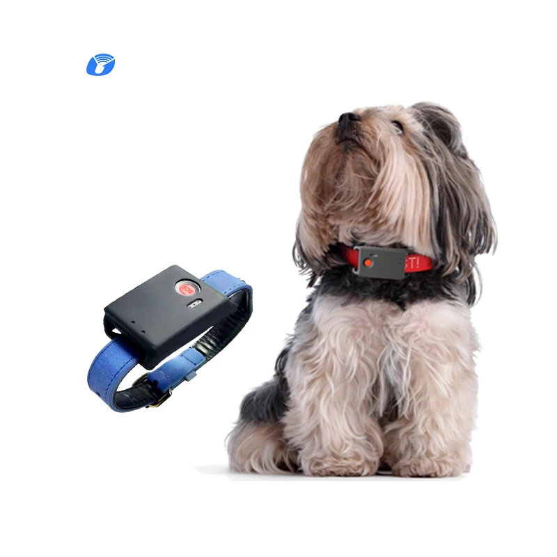 

Microchip Pet Device Small Health 4g Collar Smart Personal Mini Cool Wearable Pet Tracking Collar Cat And Dog Global Positioning