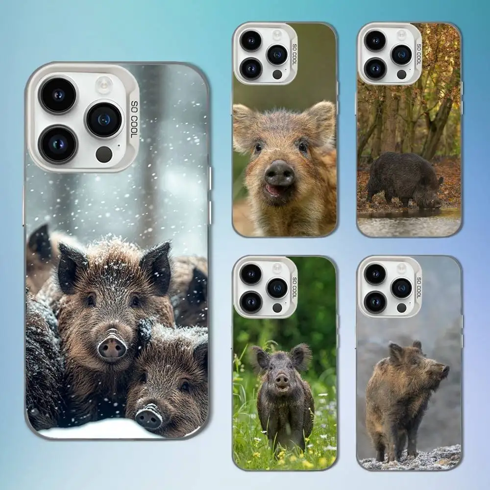 

Cute Wild Boar Animal Phone Case For iPhone 16,15,14,13,12,11,Mini,Pro,SE,MAX White Matte Shockproof Cover