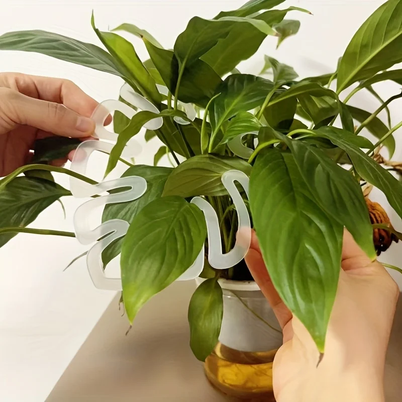 إطار دعم نباتي شديد التحمل - مشابك قابلة للطي شديدة التحمل للسيقان والأوتاد - الحديقة، وترتيبات الزهور، والنباتات الداخلية/الخارجية