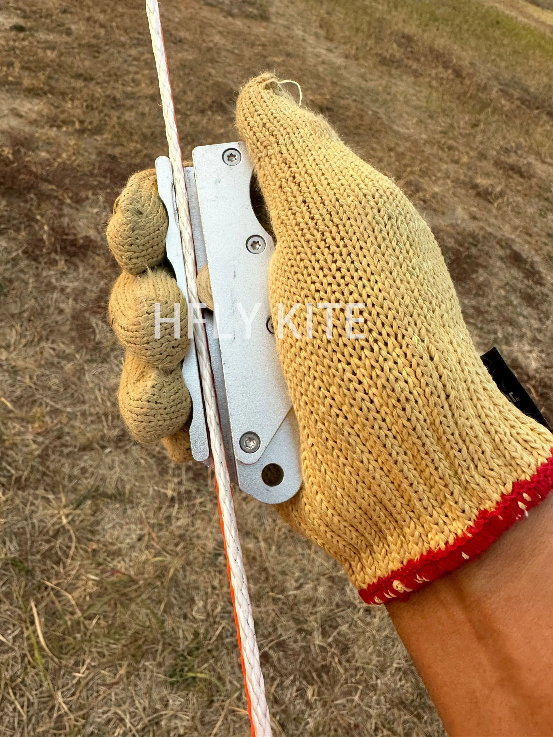 ที่จับจระเข้มาใหม่ล่าสุด