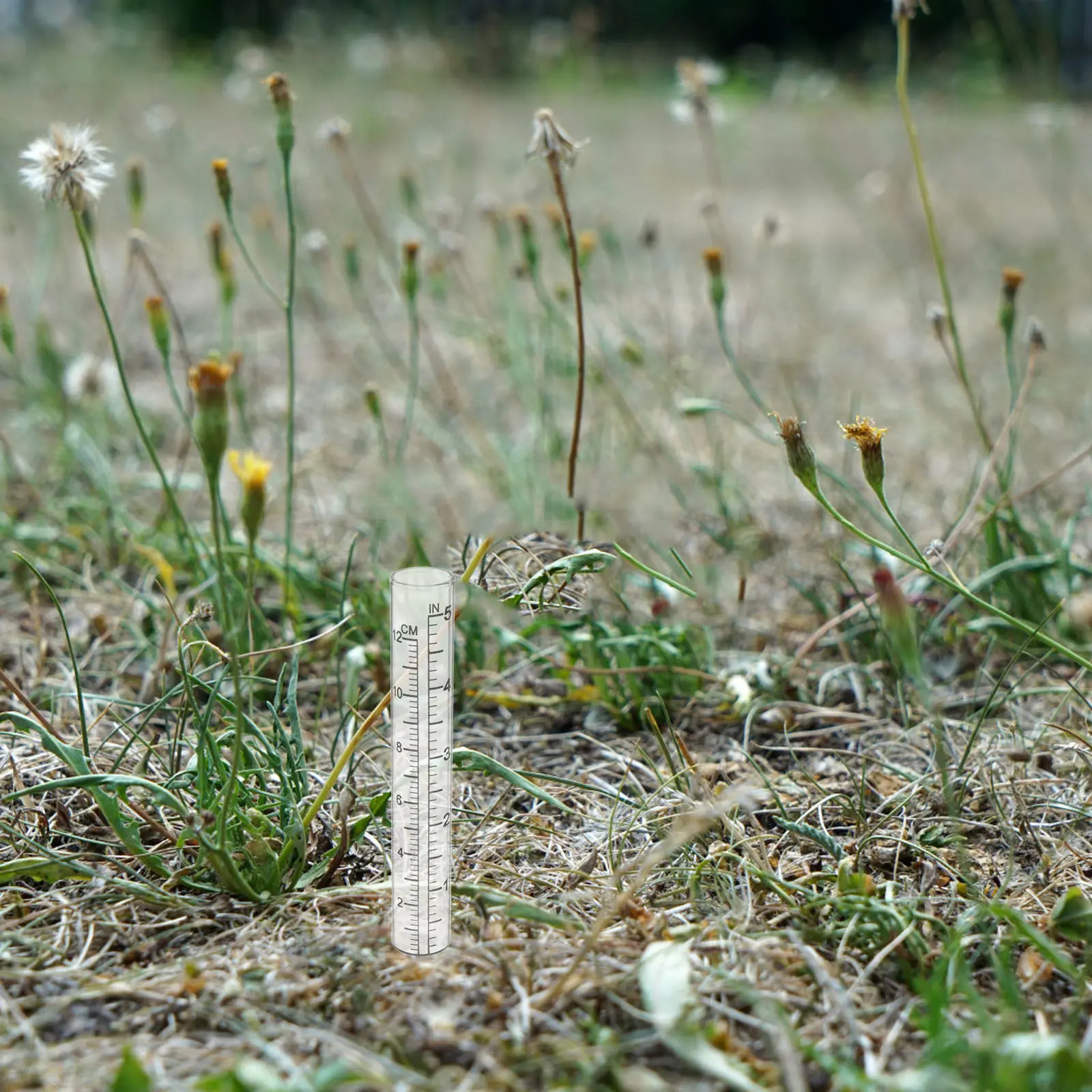 

2 шт. Сменные стеклянные трубки для дождемеров, точные аксессуары для измерения осадков для сада, двора, уличных метеорологических приборов