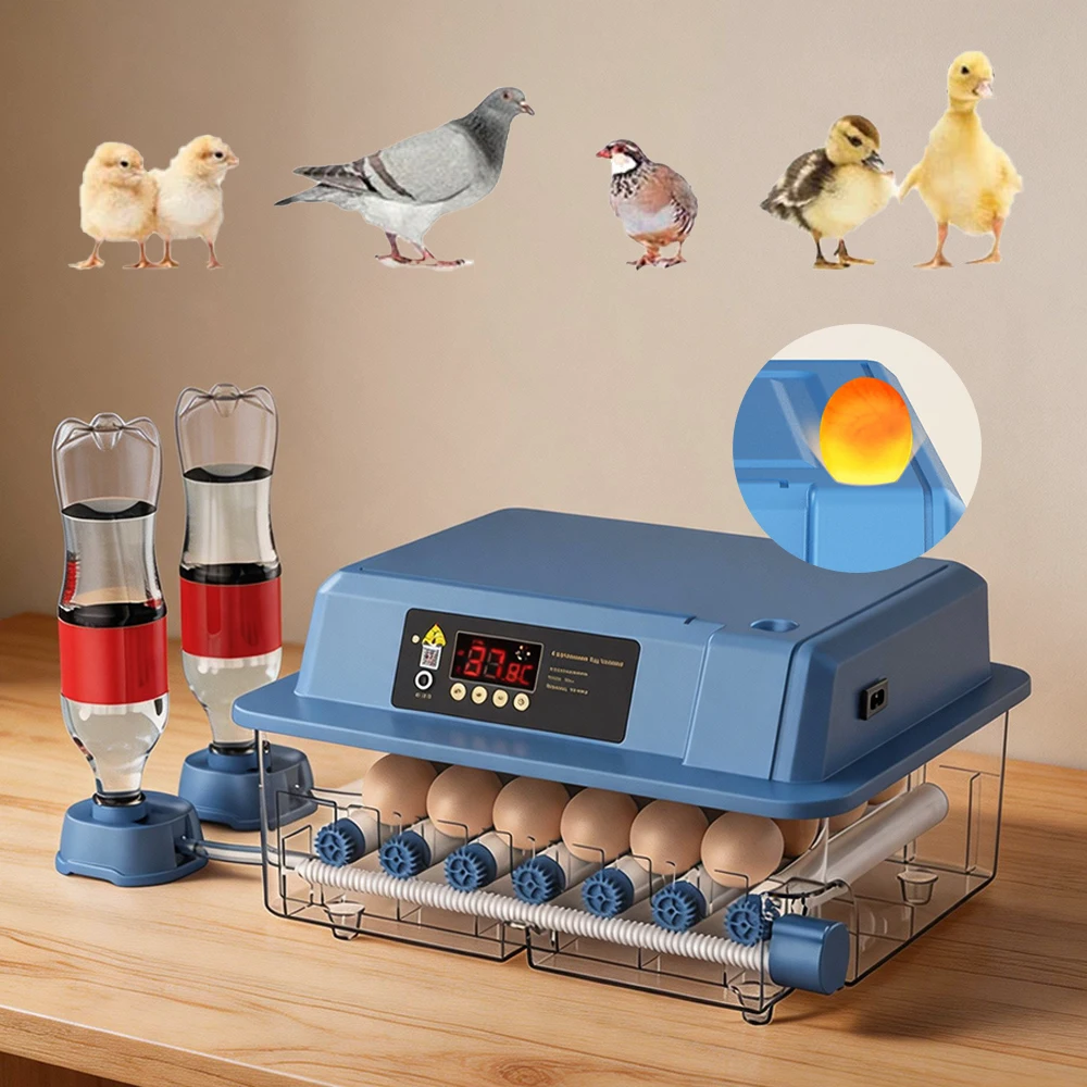Incubateur automatique 12/15/24 œufs avec retournement automatique des œufs, contrôle de la température, ajout d'eau, incubation intelligente pour l'éclosion de poussins, canards, cailles
