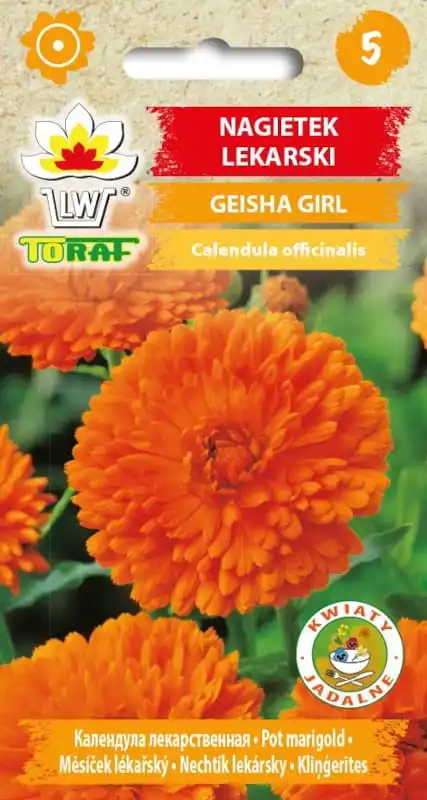 Graines de fleurs médicinales de souci Geisha Girl pour fleurs de terrasse de maison et de jardin