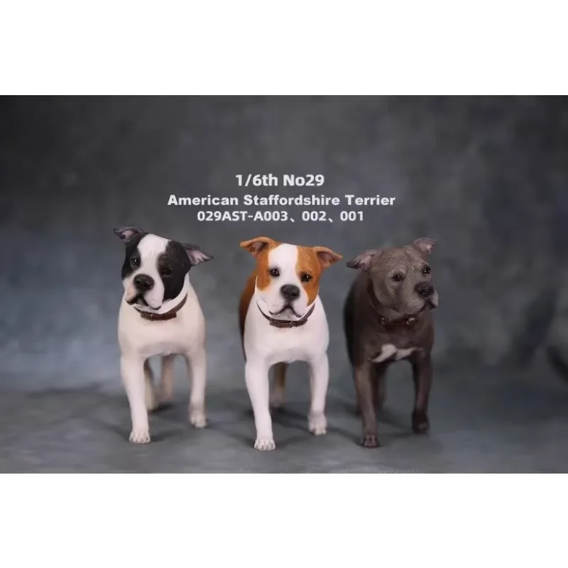 JXK 1/6 スケール模擬動物スタッフォードシャー テリア樹脂モデルアクションフィギュアアクセサリー玩具コレクションディスプレイ