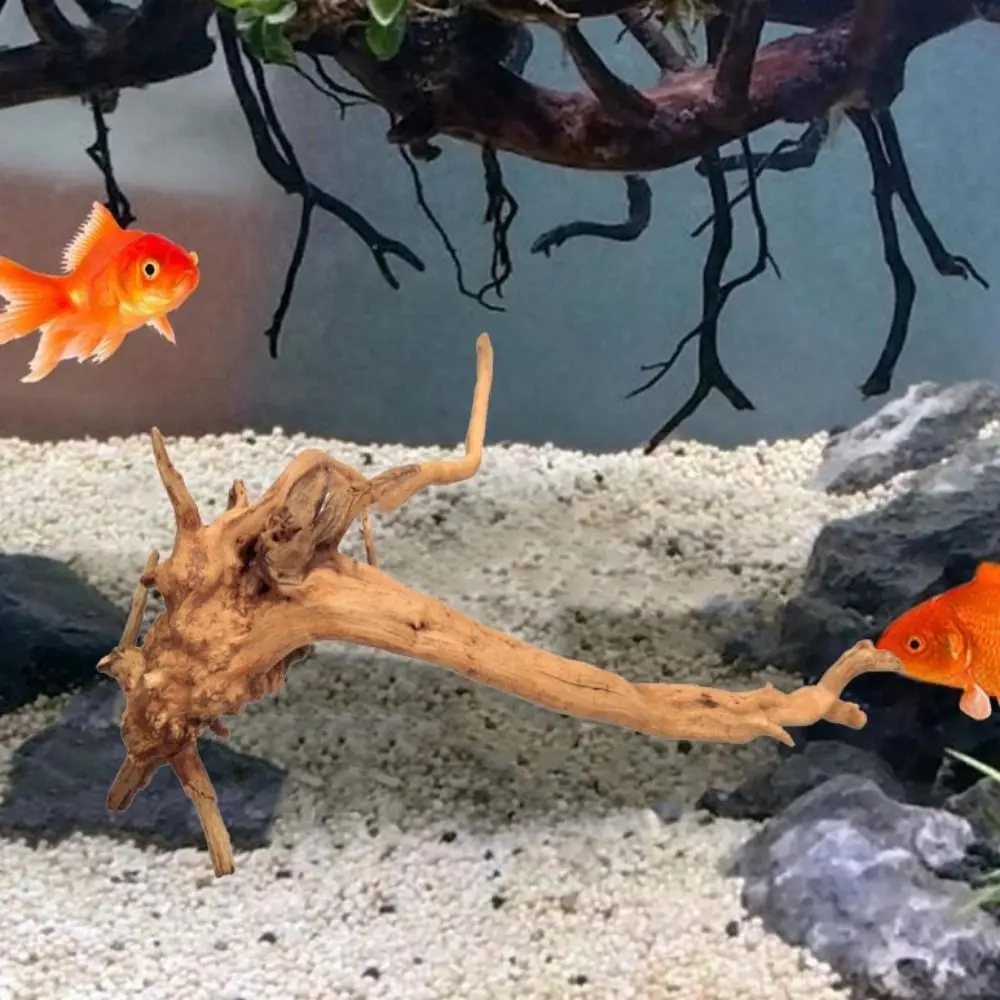 Multisize Classical Irregular Natural Wood Turtle Tank Tree Root Decorations Fish Organism Aquarium Background Ornaments