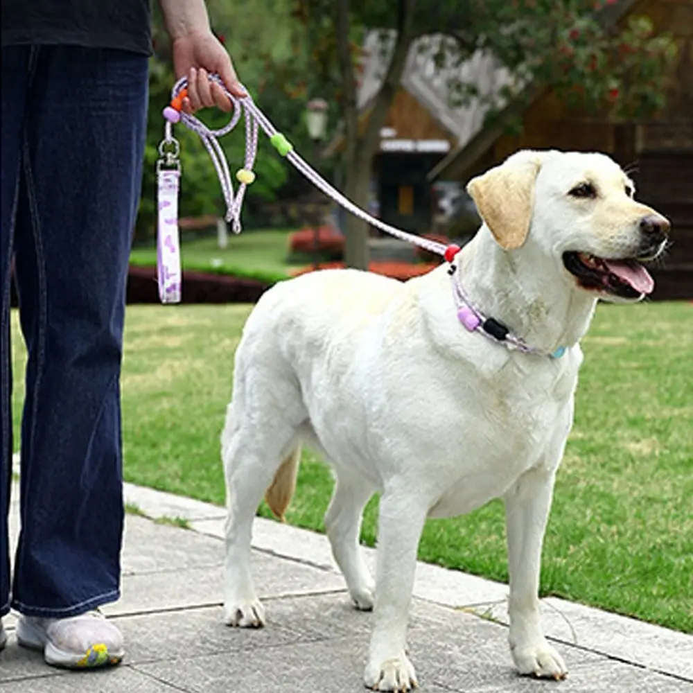 

Adjustable Dog Harness and Leash Reflective Nylon Dog Collar Leash Anti-Pull Comfortable P Chain Leash For Small Medium Dogs