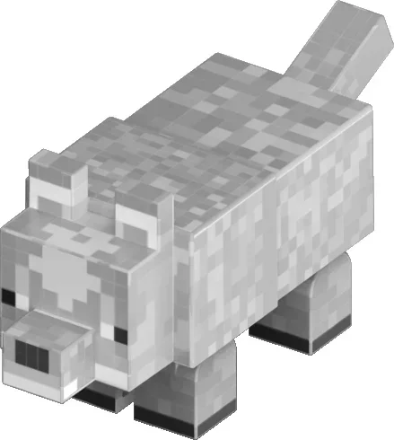 D008