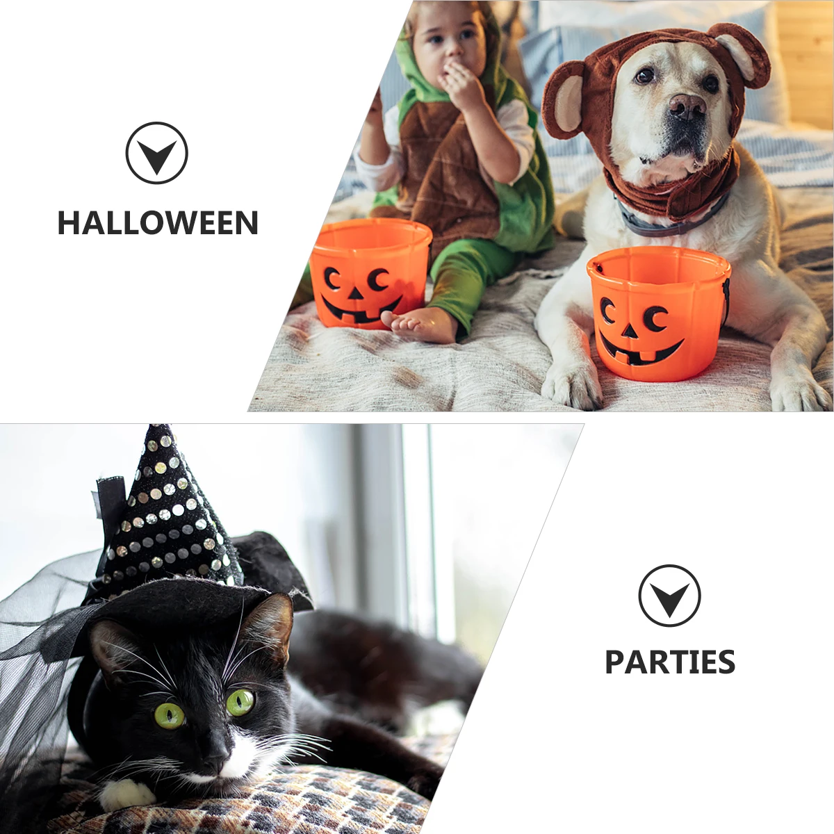 

Pet Spider Costume Halloween Decoration for Pets Giant Spiders Costumes Clothes Turn into