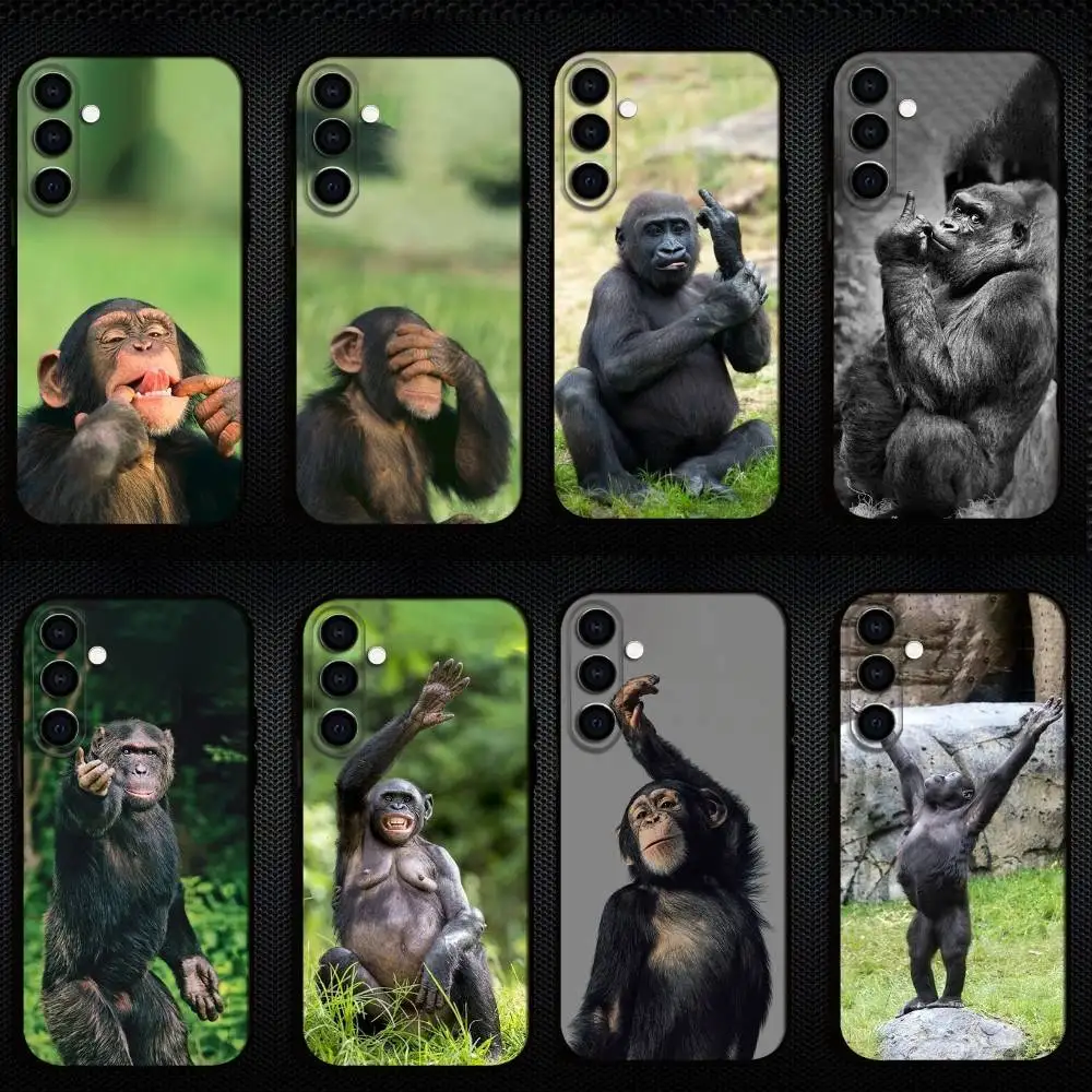 

Monkey Gorilla Orangutan Funny Phone Case For Samsung Galaxy A73,A72,A71,A70,A53,A52,A51,Others Soft Black Shell