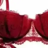 French Lace Half-Cup Bra Ultra-Thin Compact Small Bras  Kawaii Lingerie Sexy Push Up Japanese Style Minimalist Design forKUCLUT