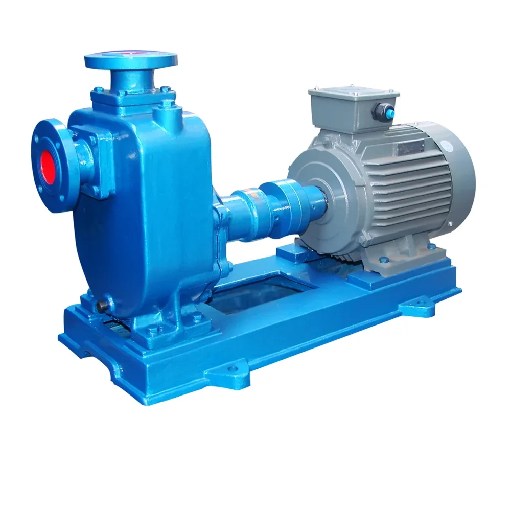 Pompa per acque reflue ZW 10 pompa a getto autoadescante