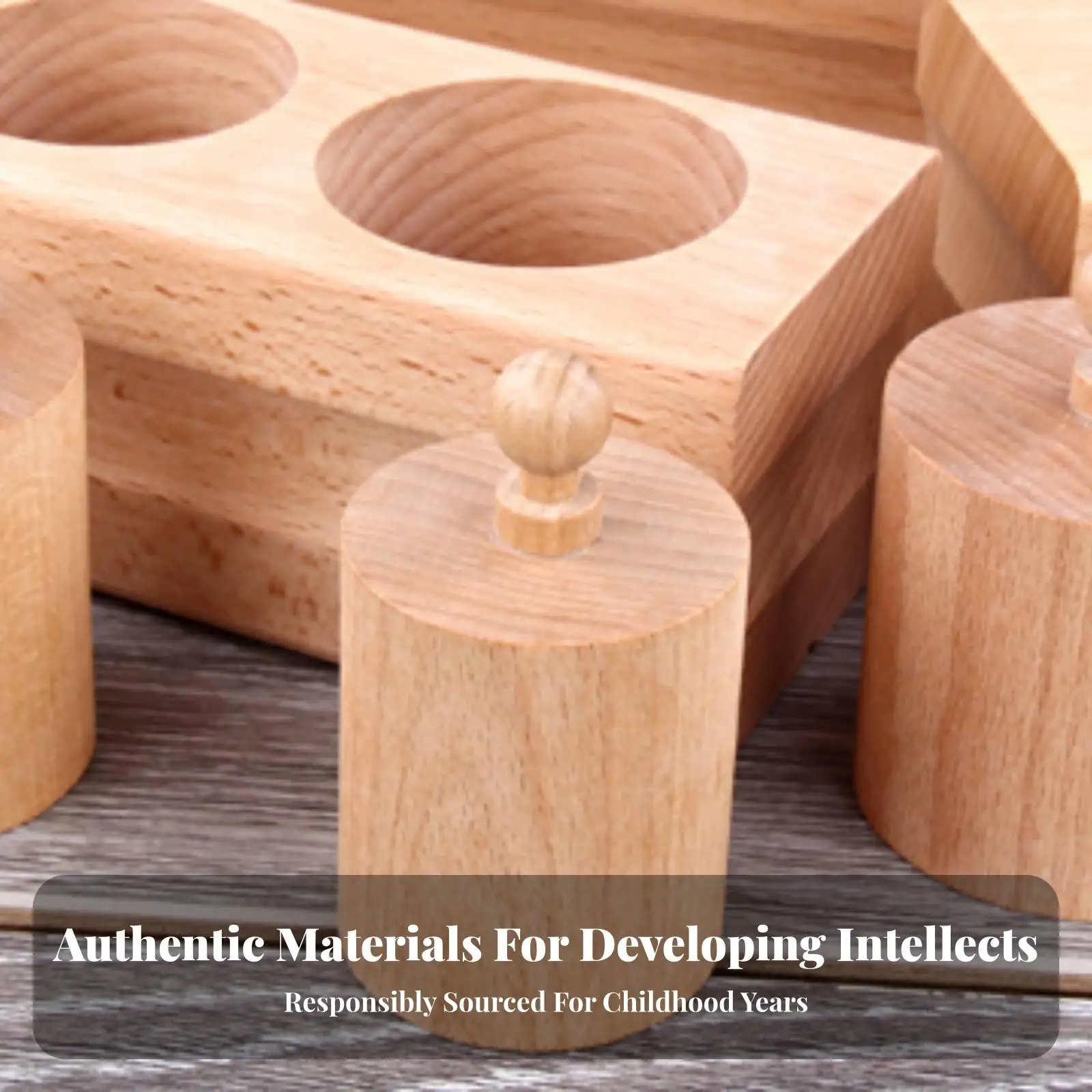 Children Cylinder Block Wooden Montessori Toy Beechwood Knobbed Cylinders Educational Sorting Game for Toddlers Fine Motor