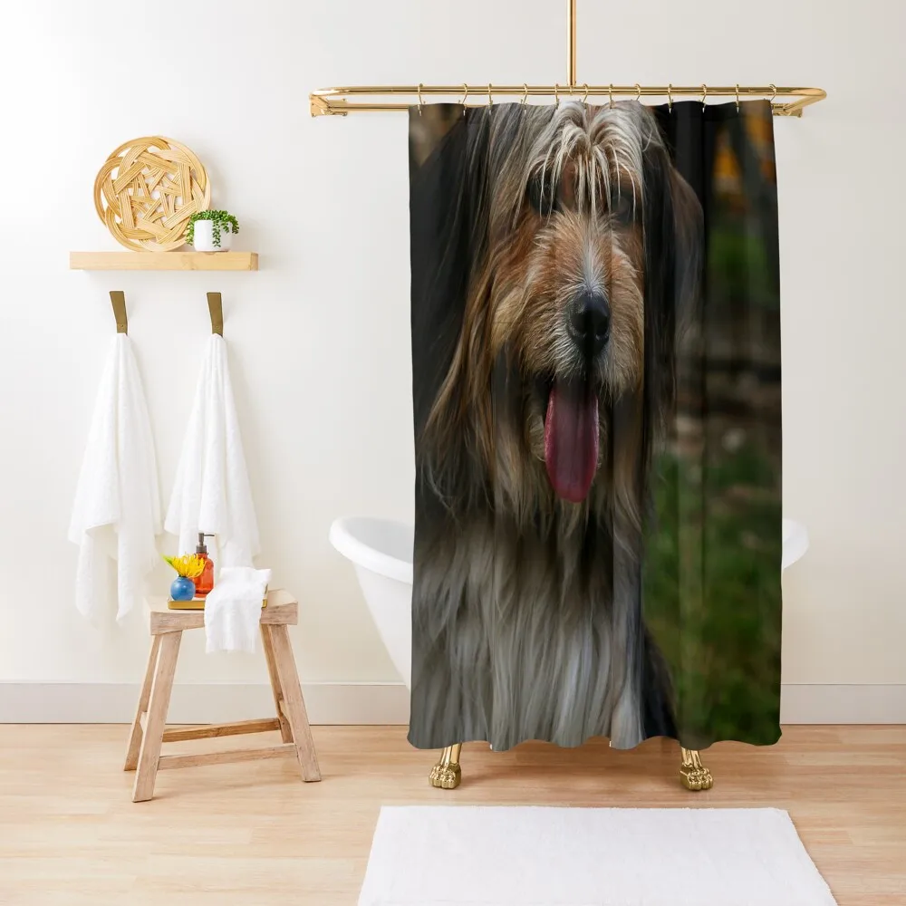 

Bearded Collie ~ monday bhhhhh ~ Shower Curtain Bathroom Fabric Bathroom Shower Set Shower For Bathroom Curtain