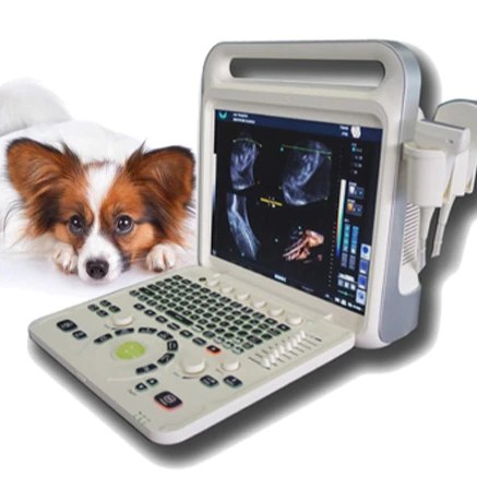 Medical Equipment 3D Image Laptop Portable Color Doppler Pregnancy Diagnostic Ultrasound