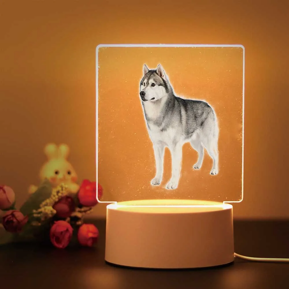 Lámpara 3d acrílica para perro, decoración para habitación de niños, luz nocturna Huskies, regalo de cumpleaños para niños, 1 ud.