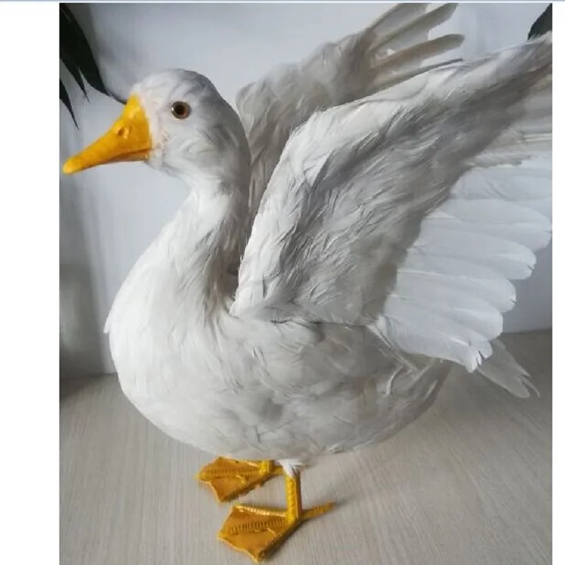 simulation duck hard model large 35x50cm white feathers duck with spreading wings home garden decoration gift b1050