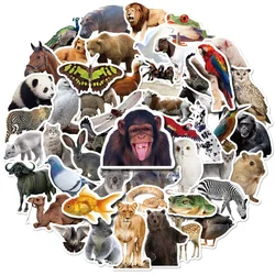 10/25/50pcs Zoo Jungle Wild Animal Stickers for Teaching Wall Decal Bedroom Classroom Wall Decor phone travel luggage helmet