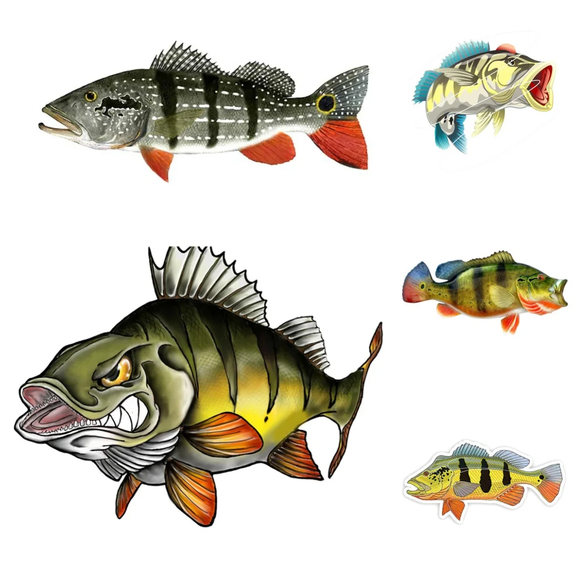 

Peacock Bass Fish Car Sticker for Bicycle Motorcycle Laptop Helmet Trunk Wall Vinyl Decals PVC Wholesale