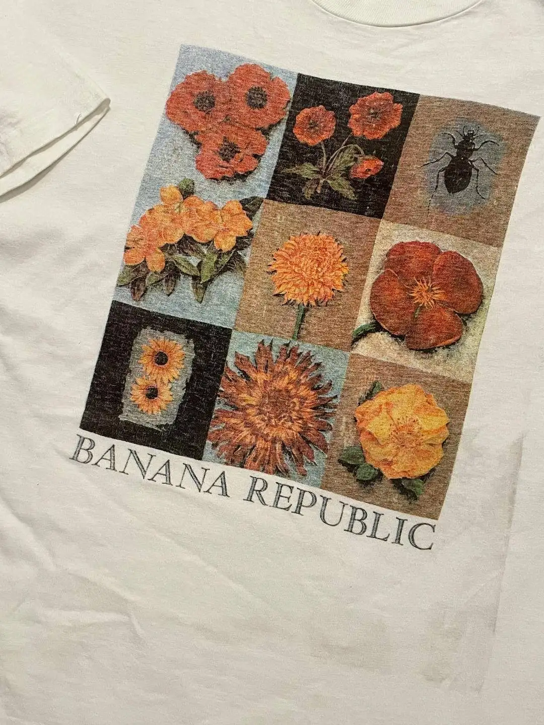 Artistic Floral Insect Theme T-Shirt Summer  Plant Guide Lazy Style Short Sleeve Breathable Cotton round Neck Men's T-Shirt